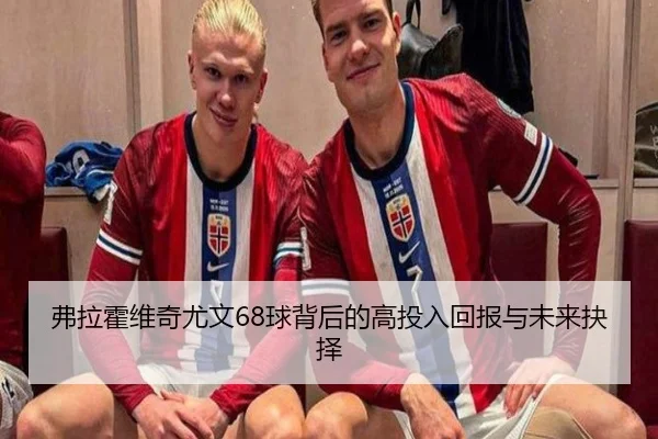 弗拉霍维奇尤文68球背后的高投入回报与未来抉择