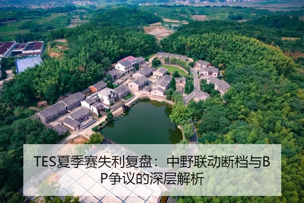 TES夏季赛失利复盘：中野联动断档与BP争议的深层解析